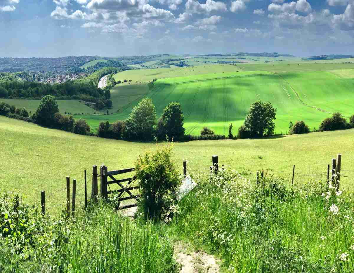 Driving in the South Downs: Scenic Routes and Stops - Sixt Car Hire ...